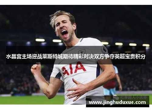 水晶宫主场迎战莱斯特城期待精彩对决双方争夺英超宝贵积分